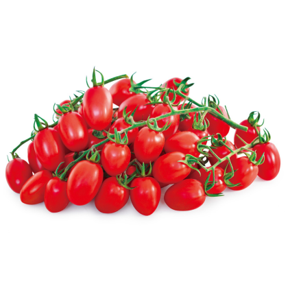 Tomato (Small)-Products-Known-You Seed India